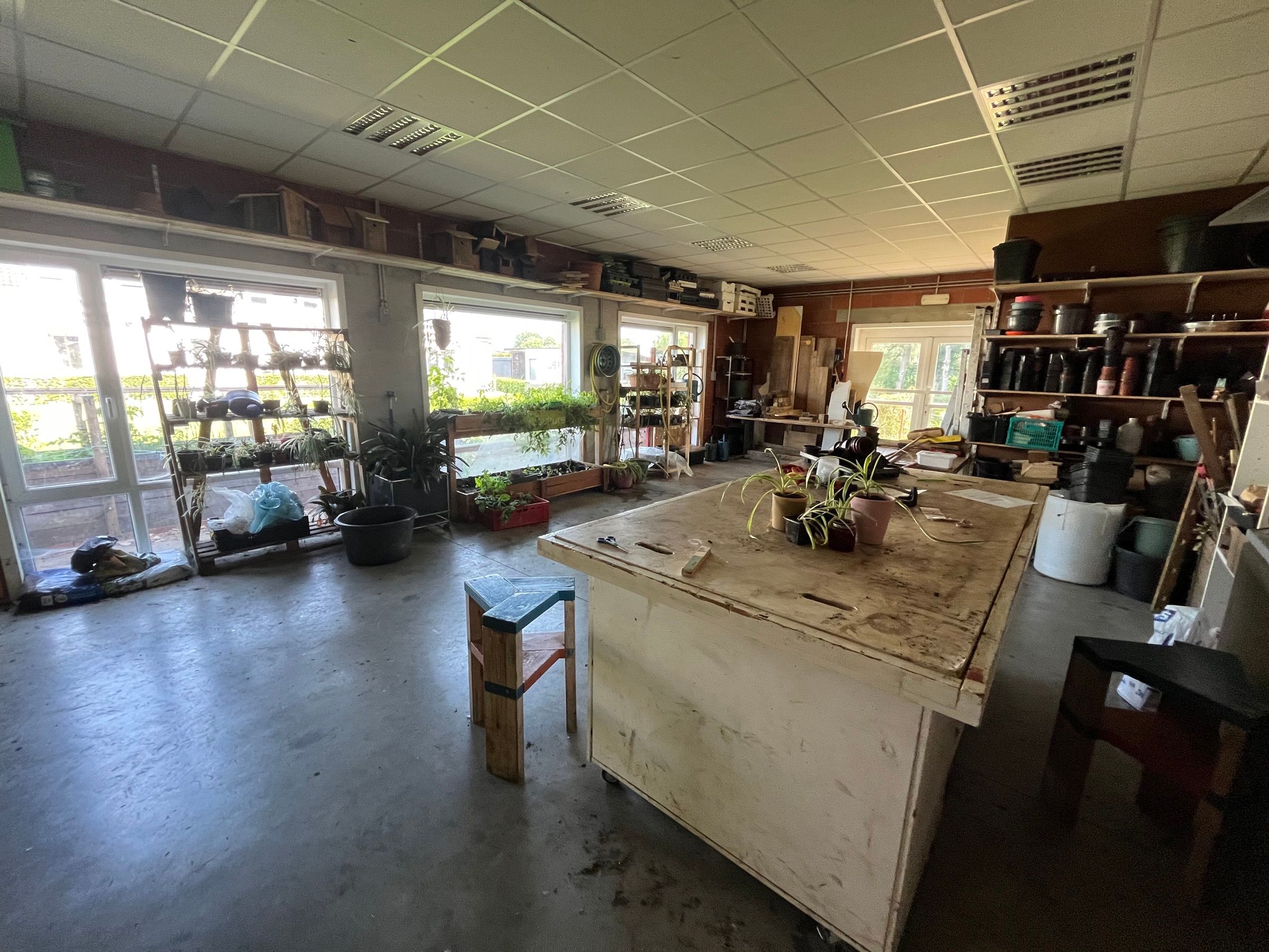 Atelier d'horticulture, plantes en pots et étagères de rempotage devant les baies vitrées