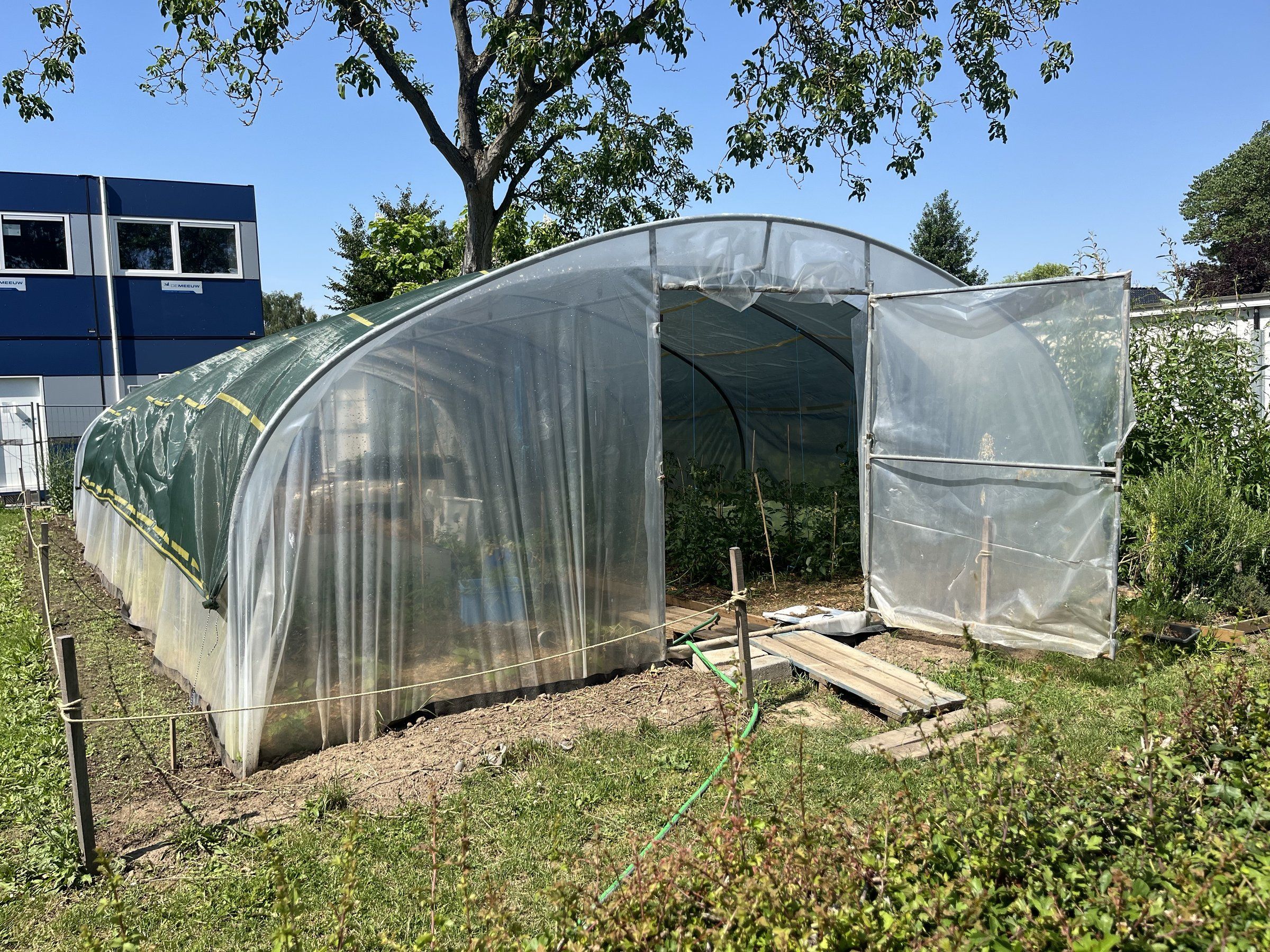 Serre de l'école, tunnel de culture installé dans le jardin pédagogique